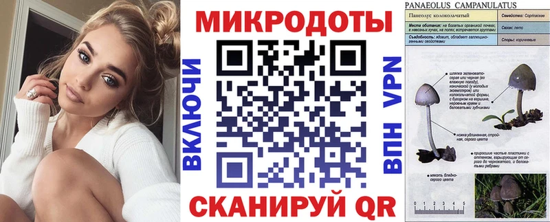 Псилоцибиновые грибы GOLDEN TEACHER  купить   Муравленко 